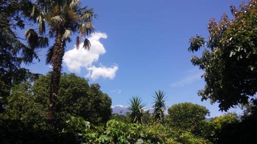 Giarre Apartment | ETNA MARE Jonio