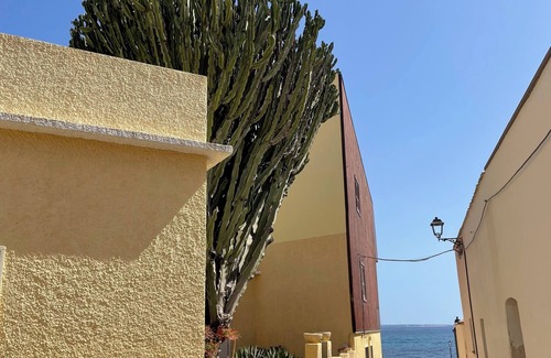 Portoscuso House | Euphorbia House