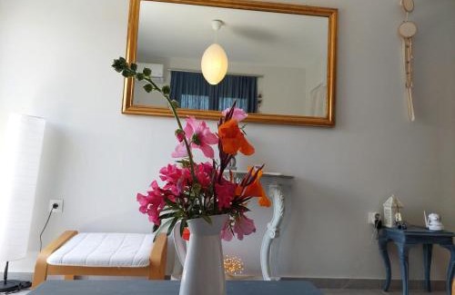 Lixouri House | Eva's place