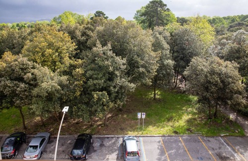 Viareggio Apartment | Eva Suite, 50m away from the beach