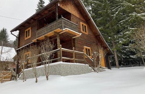 Baile Balvanyos Villa | Evergreen Balvanyos