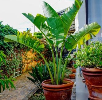 Antsirabe Bed & Breakfast | Excellentia Antsirabe