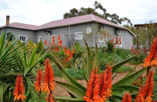Bergrivier House | Excelsior Country House
