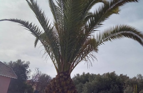Meknes Villa | Exceptional villa, secure parking, 5 mins from the highway