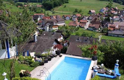 Schuttertal Condo | Exclusive * apartment in the Black Forest near Europa-Park, pool with panoramic view