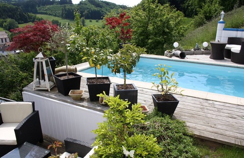 Schuttertal Condo | Exclusive * apartment in the Black Forest near Europa-Park, pool with panoramic view