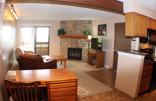 Union Square Condo | Executive, Fully Furnished, 3 month minimum or more Condo home, Very Nice!