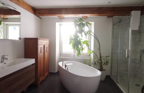 Klettgau Apartment | Exklusive LOFT-Wohnung, nur 30 Min von Zürich