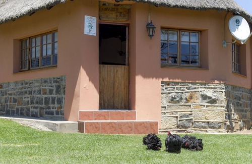 Umtshezi Cottage | Experience life on a real working farm