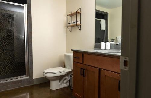 Roanoke Apartment | Extra Classy 1 Br Loft With Exposed Brick Downtown