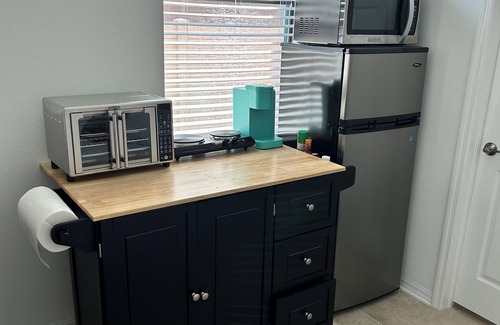 Lutz Apartment | Extra Large studio with Pool, Gym, Queen bed, huge walk in shower.