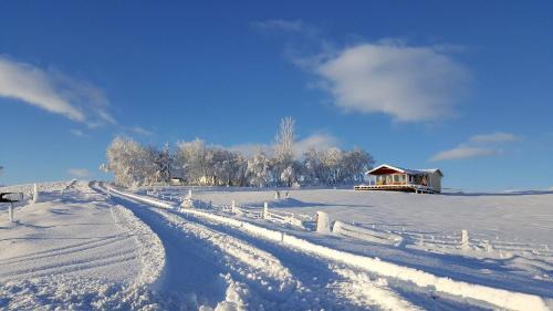Laugarvatn Cabin | Eyvindartunga farm cottage