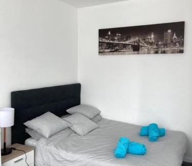 Blatin Apartment | F1 hyper centre avec garage, terrasse 8 m2, lumineux, WIFI