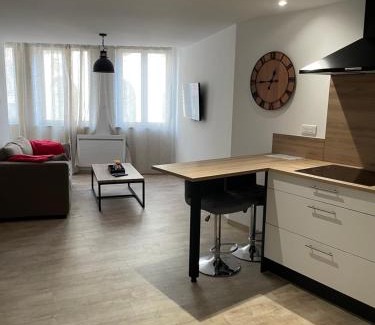 Luxeuil-les-Bains Apartment | F2 Centre Historique Saint Colomban