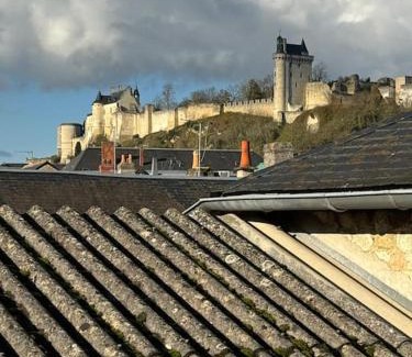 Chinon Apartment | F2 centre-ville avec vue sur la forteresse