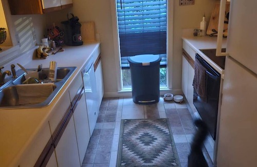 Jamestown Condo | Fabulous 1-bedroom condo in Jamestown