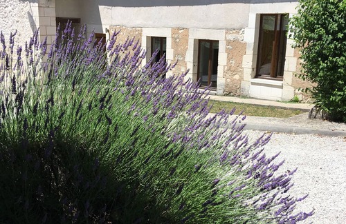 Grand-Brassac House | Fabulous Location-Country Cottage-heated pool-sauna-Zip Line-Pool Table