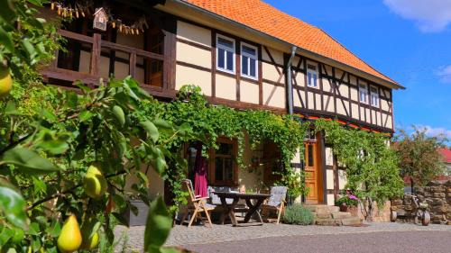 Laucha House | Fachwerkhaus mit rustikalem Weinkeller und Garten, ganze Unterkunft, gute Lage