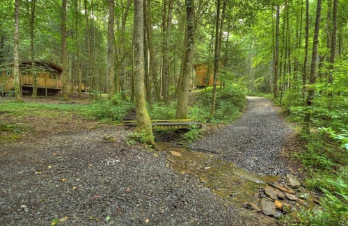 Ellijay Cabin | Fairytale SQUIRREL'S NEST cabin at Mulberry Gap in Ellijay!