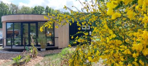 Hoogersmilde House | Familiecamping De Reeenwissel - 55