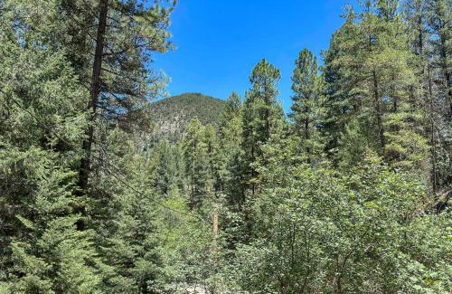 Cloudcroft House | Families Welcome Quiet Cabin Less Than 5 Mi to Cloudcroft