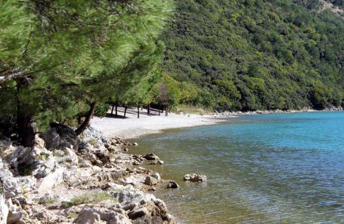 Polje Cepic Apartment | Family-friendly apartments with swimming pool Cepic, Central Istria - Sredisnja Istra - 11636