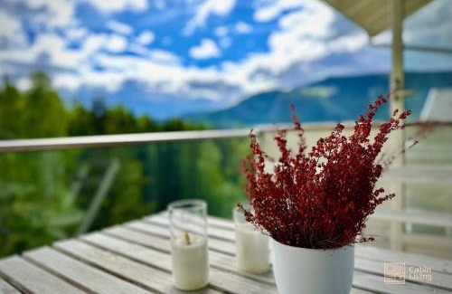Hafjell Apartment | Family friendly apartment in Hafjell ski in-out, fireplace, sauna and wifi