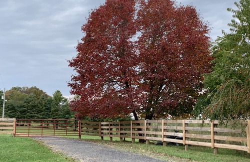 Woodlawn House | Family friendly Farm, Mnt sunsets, private, central to BR Parkway & much more!