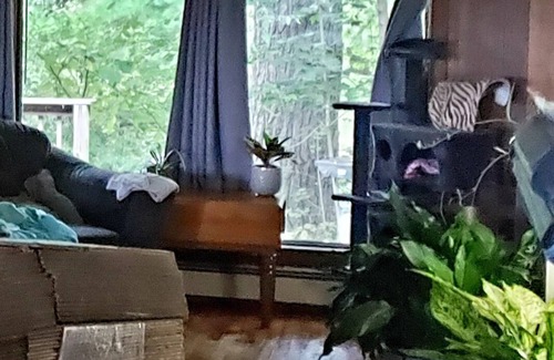 Waupaca House | Family Friendly on the Crystal River