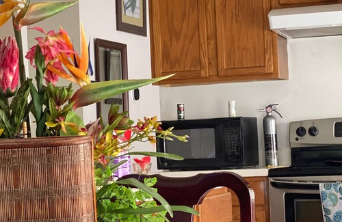Orlando House | Family fun w/Disney or events&parties near UCF (7min)