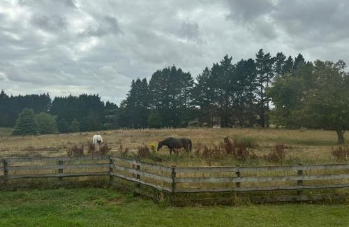 Pokeno House | Family house in happy farm
