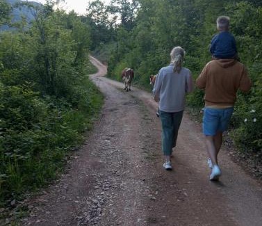 Montenegro House | Family owned self sufficient ECO farm TARA