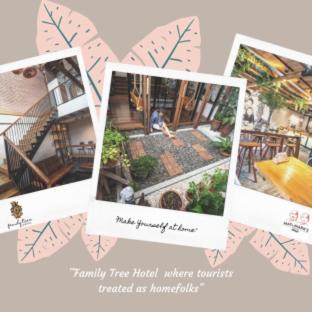 Downtown Krabi Hotel | Family Tree Hotel