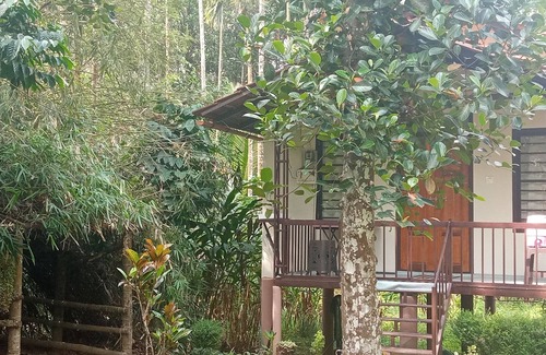 Vayittiri House | Family Villa is a hut Style Accommodation