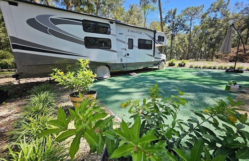 Trenton House | Fanning Springs