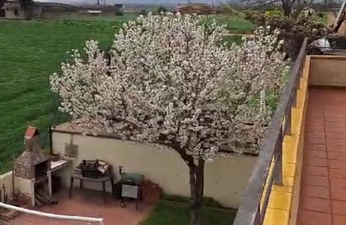 Salitja House | Fantastic house in a quiet area.