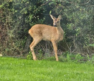 Dunbeath Villa | Faodail 'a lucky find'