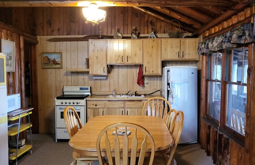Gould City Cabin | Far Cast Lodge aka the Whitetail-lakefront, privacy & old-time charm - Curtis MI