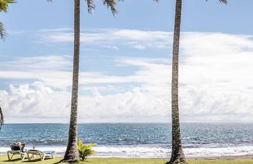 Fa'aone House | Fare Arearea - Bungalow