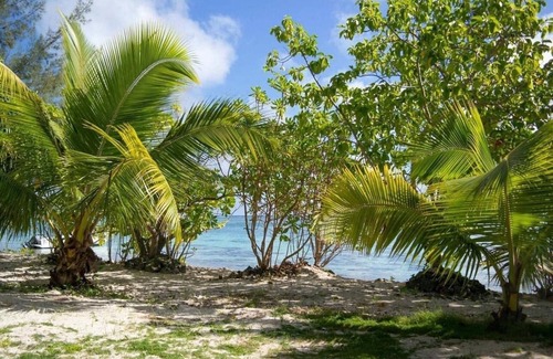 Temae Ski Chalet | Fare Tiaia - Bungalow Totara Plage