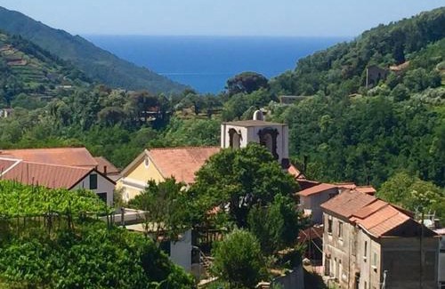 Campinola Bed & Breakfast | Farfalle E Gabbiani