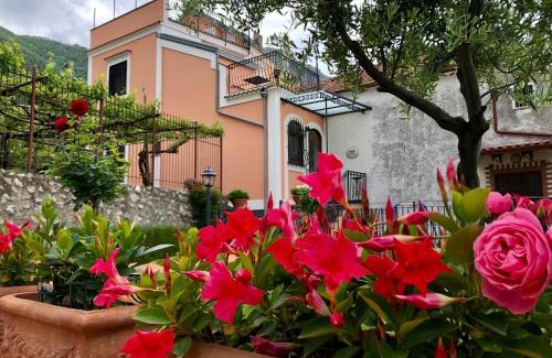 Campinola Bed & Breakfast | Farfalle E Gabbiani