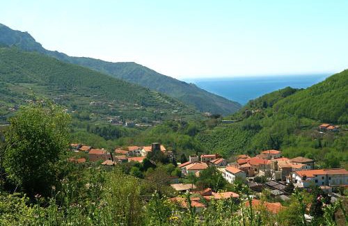 Campinola Bed & Breakfast | Farfalle E Gabbiani