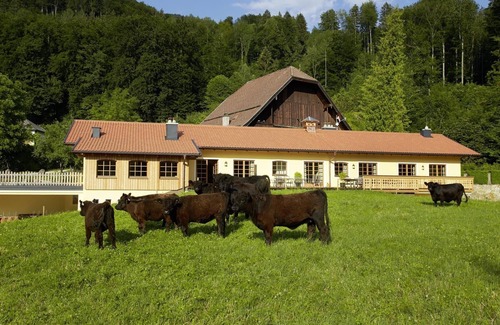 Aigen Other | Farm above the roofs of the festival city of Salzburg | top 2