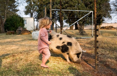 Curry's Post Cottage | Farm fun for the family