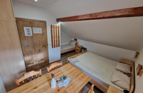 Lasko House | Farm Stay Šolinc