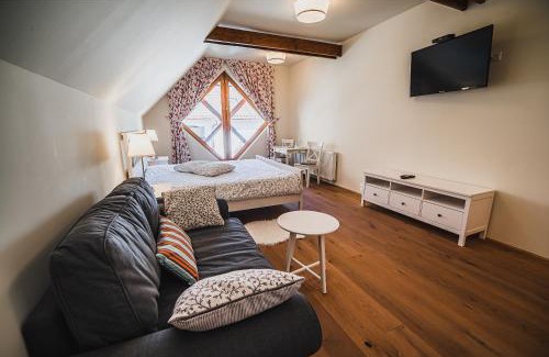 Bostanj House | Farm stay Žurej
