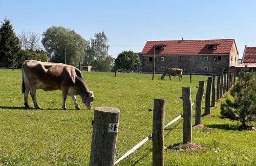 Uhlirske Janovice Apartment | Farma Bláto - Apartmány Sýpka a glamping