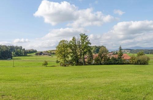Neukirchen Beim Heiligen Blut House | Farmhouse in Neukirchen near Heiligen Blut
