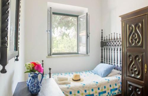 Montemor-o-Novo House | Farmhouse Dreams Explore and Relax
